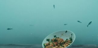 Mediterranean Diet: Why It’s the Healthiest Way to Eat in 2025 Quinoa salad spilled on a picnic table with a grocery list.